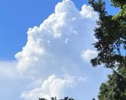 眉县天气预报,眉县7天天气预报,眉县15天天气预报,眉县天气查询